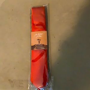 Otaa Burnt Orange Tie - Skinny Otta.com